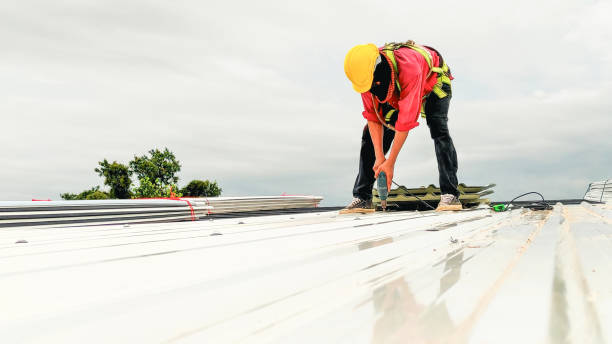 Best Roof Moss and Algae Removal  in Kirksville, MO