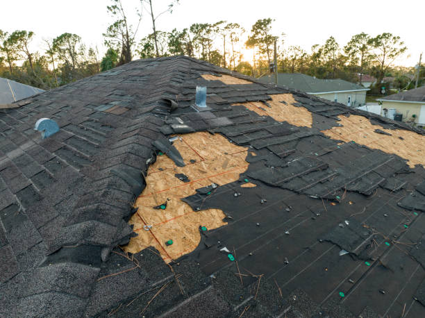 Best Metal Roofing Installation  in Kirksville, MO