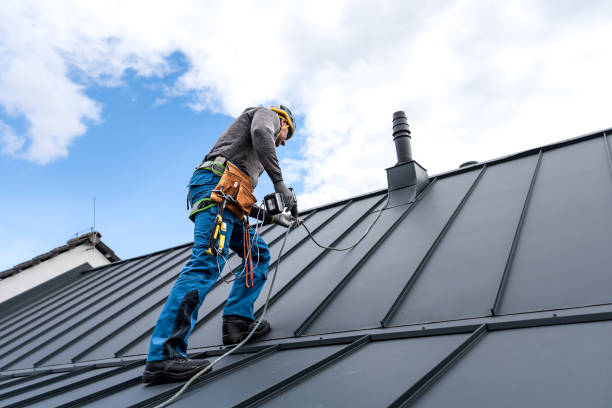 Best Roof Ventilation Installation  in Kirksville, MO